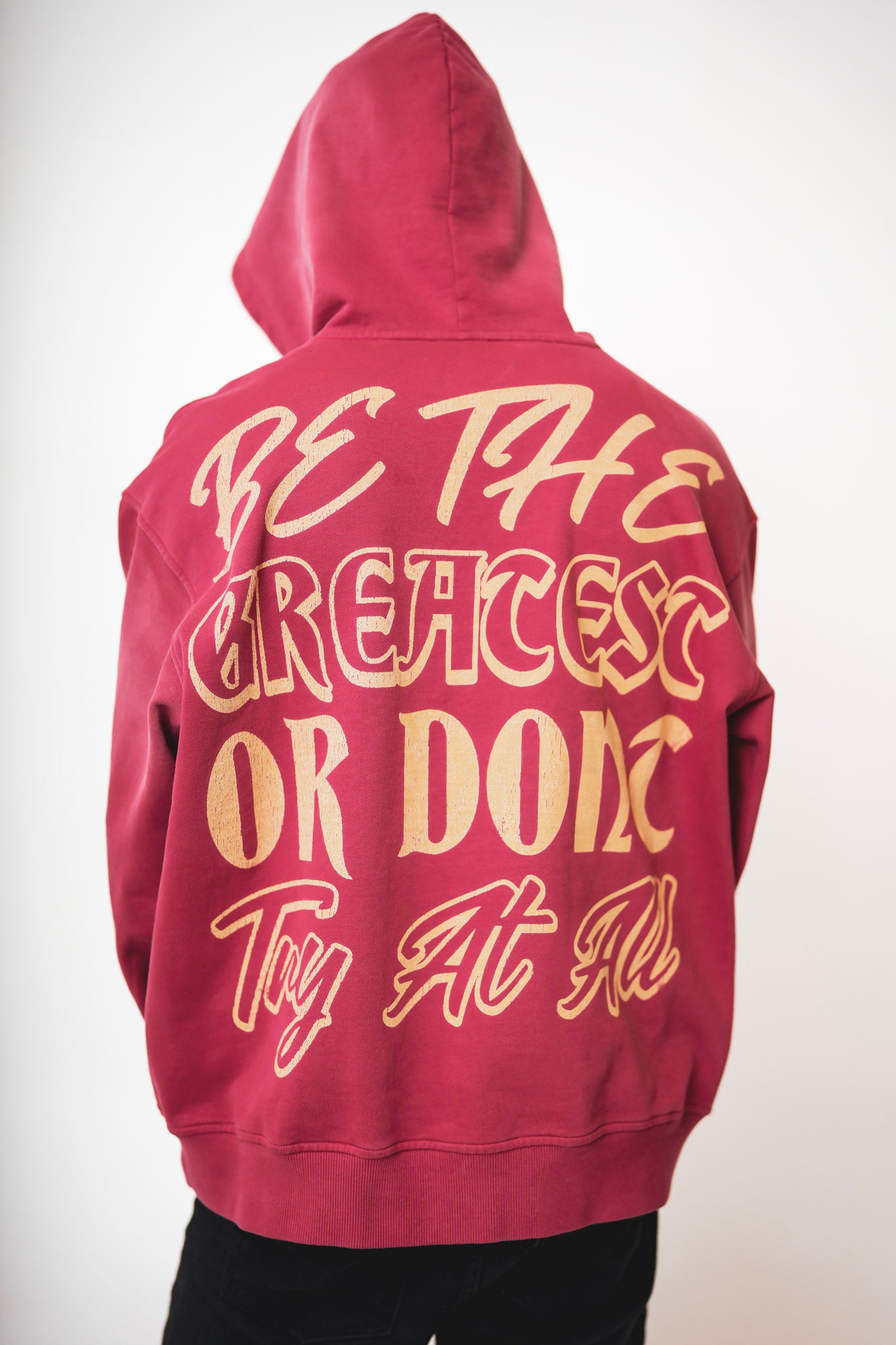 Be The Greate$t Or Dont Try At All Red Hoodie